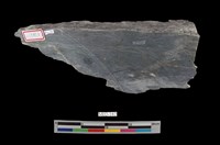 藏品(閃玉)的圖片